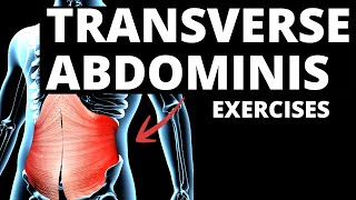 7 Effective TRANSVERSE ABDOMINIS Exercises WORK IMMEDIATELY [upl. by Acirat]