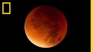 Lunar Eclipse 101  National Geographic [upl. by Finbur833]