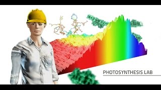 Labster Virtual Lab Photosynthesis Simulation [upl. by Foulk153]