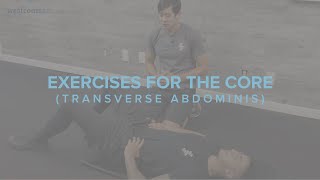 Exercises for the Core Transverse Abdominis [upl. by Gwenneth]