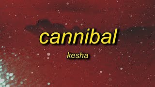 Kesha  Cannibal Lyrics  whenever you tell me im pretty [upl. by Finella676]