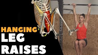 Hanging Leg Raises I Anatomical Analysis [upl. by Rodavlas176]