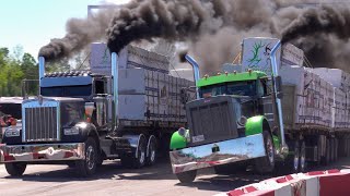 Great Lakes Big Challenge 2021 loaded semi drags and bob tail Friday session Onaway Michigan [upl. by Ivanah]