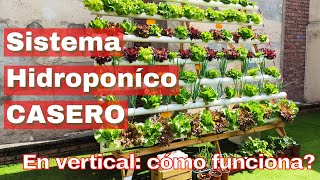 SISTEMA HIDROPONICO CASERO NFT en vertical [upl. by Acimak805]