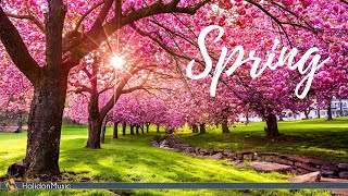 Classical Music for Spring [upl. by Strephon]