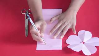 Como hacer Moldes para flores de papel  Clau Tutoriales [upl. by Nedyah976]