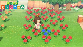 【Animal Crossing New Horizons】Flower Breeding Guide  How To Breed Hybrids【ACNH】 [upl. by Cheria]