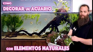 Consejos para decorar el acuario con elementos naturales [upl. by Adnauq]