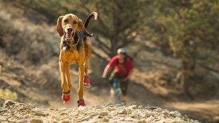 Ruffwear Grip Trex™ Dog Boots [upl. by Clotilde]