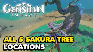 All 5 Sakura Tree Locations In Genshin Impact Sakura Arborism World Quest Guide [upl. by Noisla]