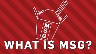 What is MSG  Earth Science [upl. by Smitty]