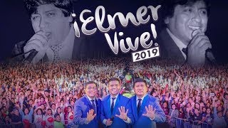 GRUPO 5  ELMER VIVE 2019 Concierto En Vivo [upl. by Skelly593]