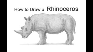 How to Draw a Rhinoceros [upl. by Scutt]