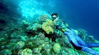 Spearfishing Remote Tropical Island MONSTER FISH CAUGHT [upl. by Aihsakal290]