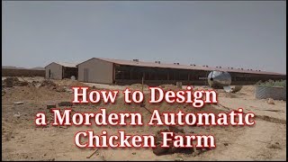 How To Design a Modern Automatic Chicken Farm I Layers Chicken Farming I Poultry House Design [upl. by Sivra692]