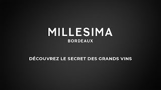 Découvrez le Secret des Grands Vins  Millésima [upl. by Neyrb]