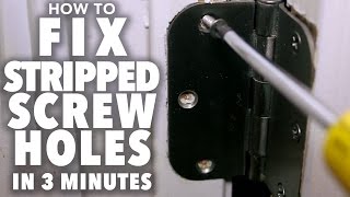 Fix Stripped Screw Holes  3 MINUTE FIX [upl. by Yer526]