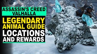 Assassins Creed Valhalla  LEGENDARY ANIMAL Guide  Locations and Rewards [upl. by Lucias]