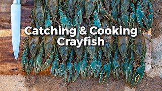 Crayfish Catch em and Cook em [upl. by Snah]