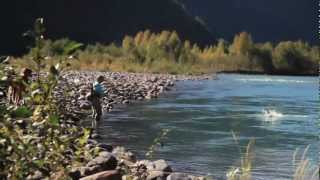 Nicholas Dean Outdoors BC Steelhead and Salmon on the Skeena [upl. by Ailesor995]