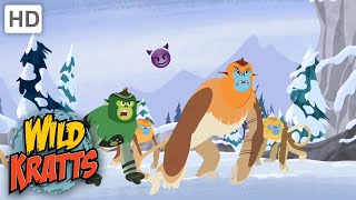 Wild Kratts  ANIMALS Attack  SnubNosed Monkey [upl. by Allesor560]