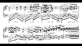 Liszt Reminiscences de Norma Tozer [upl. by Eijneb173]