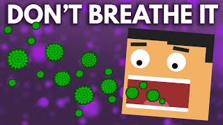 What Happens If You Breathe In Mold Spores [upl. by Lamok]