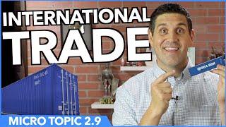 International Trade Micro Topic 29 [upl. by Merill]