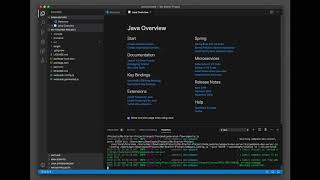 How to import and debug a Spring Boot Java Maven project in VS Code [upl. by Aelber]