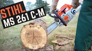 STIHL MS 261 CM REVIEW Best All Around Chainsaw [upl. by Coniah40]