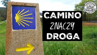 CAMINO ZNACZY DROGA  cały film  napisy  2019 [upl. by Nitas840]