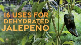 16 Uses for Dehydrated Jalapeño [upl. by Ringe609]