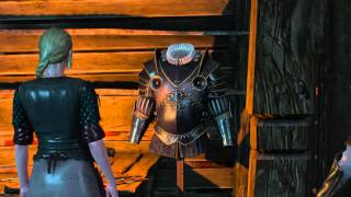 Witcher 3 Wild Hunt  Master Armor Quest  Unlocks Mastercrafted Armor [upl. by Nniw]