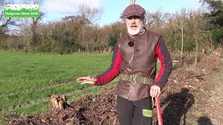 How to coppice a hedge  Hedgerow Week 2020 [upl. by Axel]