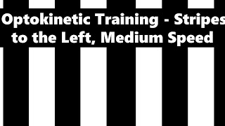 Optokinetic Training  stripes to the left medium speed [upl. by Doria556]