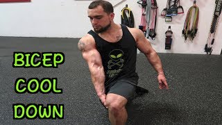 5 Minute Bicep Static Stretching Routine  Cool Down [upl. by Uzzial]