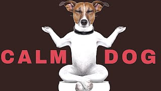 Sound To Calm Dogs Within 5 Minutes  Dog Hypnosis [upl. by Natsyrt]