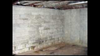 Guide To Damp Proofing Your Cellar  Basement Systems UK [upl. by Aihsenak]