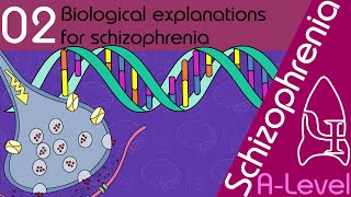 Biological Explanations for Schizophrenia AQA ALevel [upl. by Fritzsche]