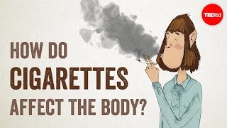 How do cigarettes affect the body  Krishna Sudhir [upl. by Eelrahc]