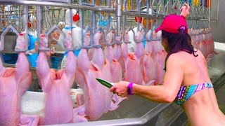 Machines étonnantes de transformation des aliments  Élevage de poulet de volaille [upl. by Eellah]