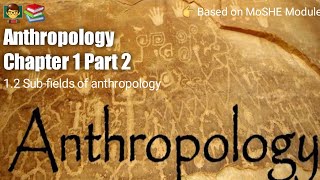 Anthropology Chapter 1  Part 2   Subfields of anthropology [upl. by Airotnahs]