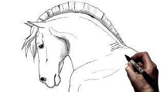 How To Draw A Horse  Step by Step  Side View [upl. by Rebah]