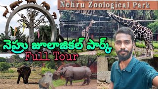 NEHRU ZOOLOGICAL PARK HYDERABAD COMPLETE TOUR  VILLAGE DIRECTOR [upl. by Kwang665]