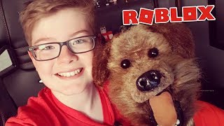 Playing Roblox with Hacker the talking dog [upl. by Herwick243]