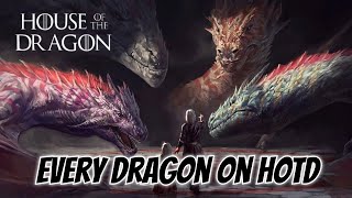 Meet Every Dragon amp Dragonrider on House of the Dragon [upl. by Eilatam]