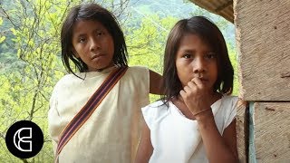 The Wiwa  An Indigenous Tribe in the Colombian Mountains [upl. by Alithia835]