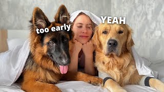 my dogs morning routine [upl. by Talia]