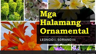 MGA HALAMANG ORNAMENTAL EPP4 [upl. by Gnav]