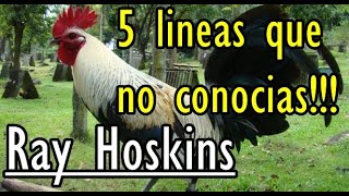 7 Razas De Gallos Que Criaba Gene Frizzell [upl. by Urana135]